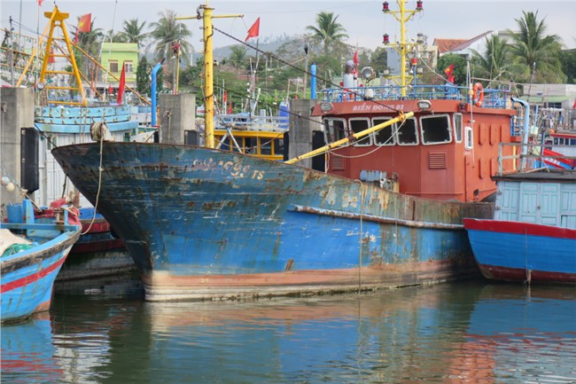 Loạt bài: Tàu vỏ thép 67: Thuyền to thiệt hại kép: 
Bài 1: Từ ngư dân tỷ phú trở thành người vô gia cư (10/4/2022)